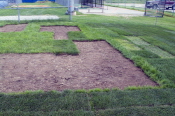 Laying the groundwork